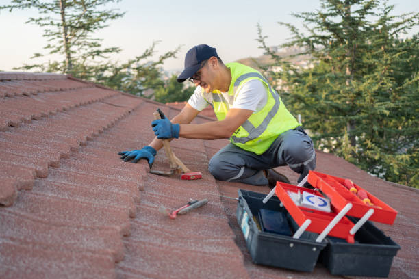 Best Roof Moss and Algae Removal  in Lucasville, OH